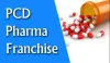 How to Increase Sales in PCD Pharma Business with Pharma Franchisee India? - Blog