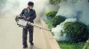 Pest Termite Control Services in Coimbatore, Pollachi and Ooty