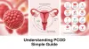 pcod_explained_simply_and_clearly_852de590-aeda-4fd5-984b-83961dcbe3b0-1024x576.jpg