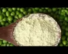 Pea Protein Isolate Powder Manufacturer & Suppliers - Titan Biotech Ltd