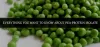 Everything You Want to Know About Pea Protein Isolate