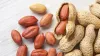 What is the Rank of India in Peanuts exporting?
