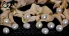 Pearl Stone Astrology | Pearl Astrology