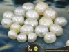 Pearl Astrology 