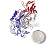 pectinase powder, bulk pectinase powder, pectinase powder suppliers