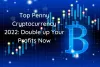 Top Penny Cryptocurrency 2022: Double Up Your Profits Now - Fxreviews.best