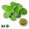 peppermint leaf extract, bulk peppermint leaf extract, Peppermint Leaf Extract Supplier 