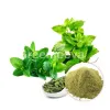 Organic Peppermint Leaf Powder, organic foods, food industry