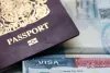 Solicitors Services: What Does An Immigration Solicitor Do - Complete Guide