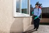 Why do you need to hire trained professionals for cockroach control in Mississauga?