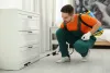 Recruit experts for Pest Control Brampton