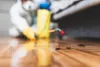 Utilize the right tools and techniques for pest control in Hempstead