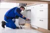 Engage professionals for pest control in Stratford