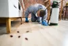 Expert solutions of pest control in North London are preferred