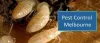 Pest Control Melbourne/ Masters Pest Control