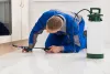 Pest control in Mississauga