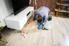What are effective solutions for pest control in Brampton?