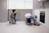 Pest control treatment in Notting Hill 