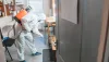 Expert Pest Control Services - Eliminate Insect Invaders Today