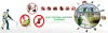 Pest Control Services Vaughan - Home Services Vaughan | Installmart