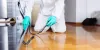 Pest-Free Living Place is possible with These Suggestions!