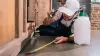Benefits of conducting pre-purchase building pest inspection