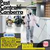 Pest Control Canberra 