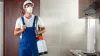 Pest Control Services in Fulham, Bracknell, and Harrow