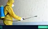 Pest Control Hope Island