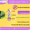 Pest Control in Cochin
