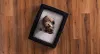 Layla pet bed