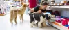 Here’s What All New Pet Parents Should Know