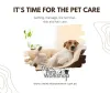 Pet Grooming Singapore