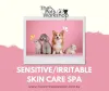 Cat Grooming Singapore