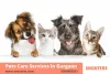 Snouters - Pets Care & Boarding Service in Gurgaon