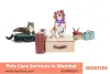 Best Cat & Dog boarding Service in Mumba