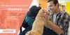 Pets Day Care Services in India - Snouters