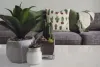 cushion covers