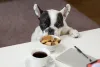 Dog food with glucosomine