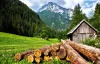 Holzschmuck, Bürobedarf, Gastroartikel aus Holz | behind-the-backdrops