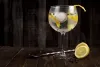 A G&amp;T Journey: Exploring the World of Distinctive Gin Brands - LOS ANGLES NEWS