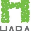 Halal Cosmetics - Key Market Trends | Hara Naturals by Hara Naturals - Issuu