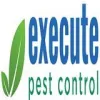 Bed Bugs Services Singapore by Execute Pest Control - Issuu