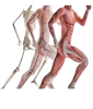 Top Physiotherapist Near Me