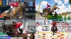 Paris Olympic: Canadian Equestrian Team Aims for More Jumping