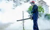 Pest Control Services in Delhi NCR