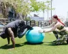 Best Online Pilates - The Ultimate Pilates Digest