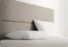What Kinds of Pillows are Most Comfortable? | Entrepreneurs Break