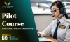 Pilot Course | Pilot Course, Fees, and Salary in India.