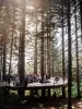 Noble Ridge Tree Deck Reviews Noble Ridge Tree Deck is a  Company in Washougal Providing The Best Customer Satisfaction With Regards To  Services. Hire A  near 98671